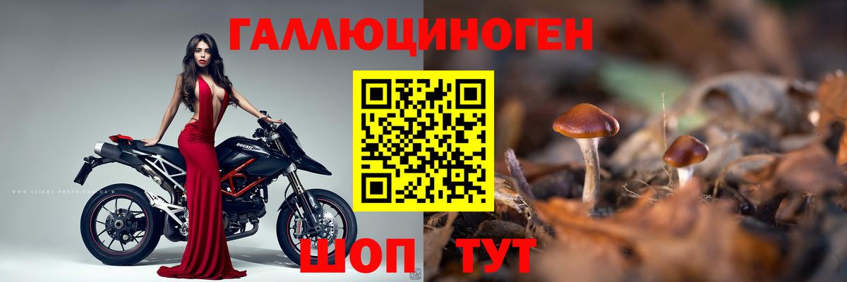 Псилоцибиновые грибы GOLDEN TEACHER  Вход с VPN  Иваново 
